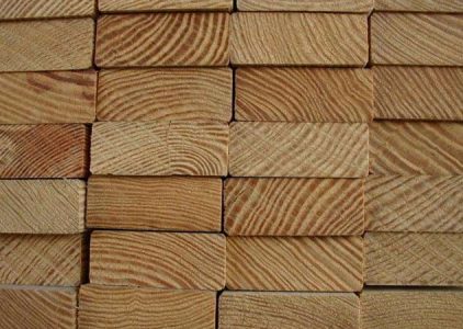 Supplier Kayu Kamper